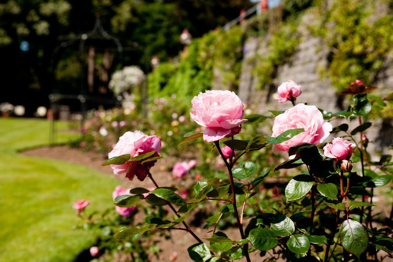 Miskin Manor Hotel Hensol Esterno foto